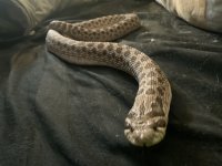 IMG_7664.jpeg