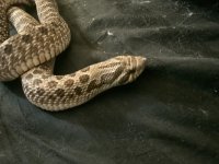 IMG_7661.jpeg