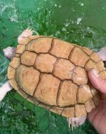 IMG_1205.jpeg