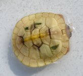 IMG_8915.jpeg