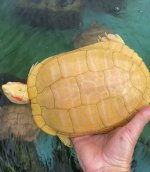 IMG_1222.jpeg