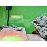 IMG_9869.jpeg