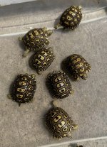 IMG_3242.jpeg