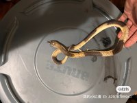 IMG_1355.jpeg
