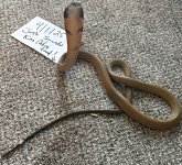 IMG_0269.jpeg