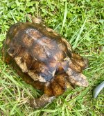 IMG_9064.jpeg