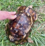 IMG_9049.jpeg