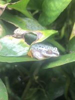 IMG_5460.jpeg