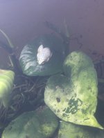 IMG_5459.jpeg