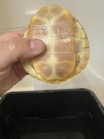 IMG_1706.jpeg