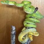 IMG_7130.jpeg