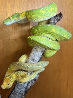 IMG_7124.jpeg