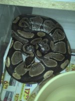 2011-05-23_19-26-58_544.jpg