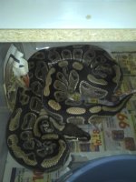 2011-05-23_19-26-27_67.jpg