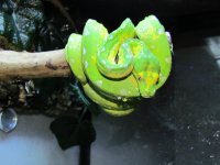 IMG_0107.jpg
