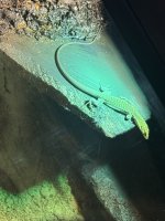 IMG_0152.jpeg
