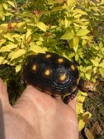 IMG_3955.jpeg