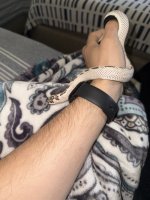 IMG_9755.jpeg