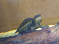 IMG_20250309_123142153.jpg
