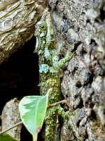IMG_1098.jpeg