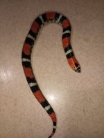 IMG_20250422_091708_644.jpg