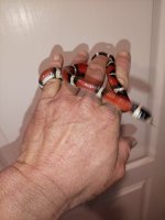 IMG_20250422_123329_277.jpg
