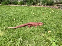 IMG_7784.jpeg