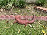 IMG_7787.jpeg