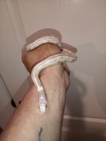 IMG_20250424_110626_869.jpg