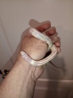 IMG_20250424_110619_773.jpg