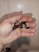 IMG_20250424_111035_210.jpg