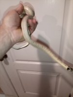 IMG_20250508_000827_677.jpg