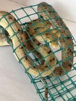 IMG_2711.jpeg