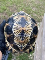 IMG_0928.jpeg