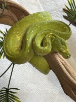 IMG_0950.jpeg