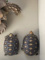 IMG_1880.jpeg
