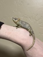 IMG_4286.jpeg