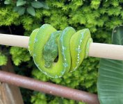 IMG_3478.jpg
