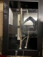 IMG_3469.jpeg