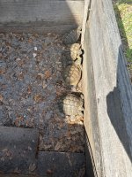 IMG_2495.jpeg