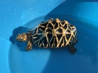 IMG_8144.jpeg