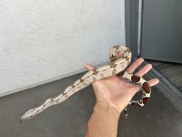 IMG_1563.jpeg