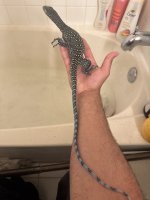 IMG_6058.jpeg