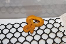 IMG_2589.JPG