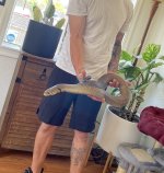 IMG_2834.jpeg