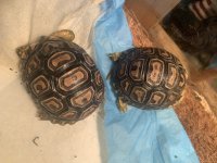 IMG_0956.jpeg