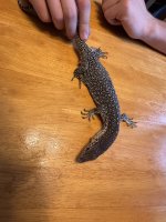 IMG_4575.jpeg