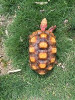 IMG_1224.jpeg