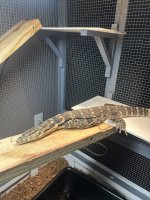 IMG_9811.jpeg