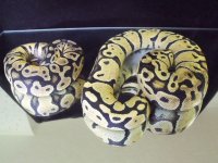 2011_06140004.JPG